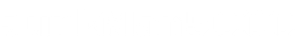 White JunkMan Site Nav Logo